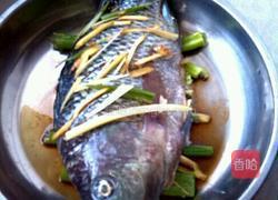 清蒸罗非鱼的做法图解4