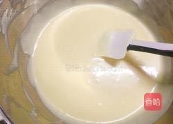 冻芝士蛋糕的做法图解12