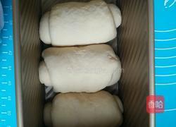 豆浆土司的做法图解7