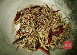 小鱼儿与花生米的做法图解9