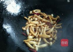 鹌鹑蛋烧白玉菇的做法图解7