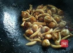 鹌鹑蛋烧白玉菇的做法图解8
