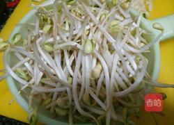 爆炒豆芽的做法图解1