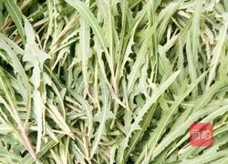 凉拌苦菜的做法图解1