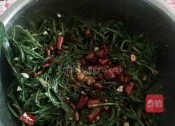 凉拌苦菜的做法图解6