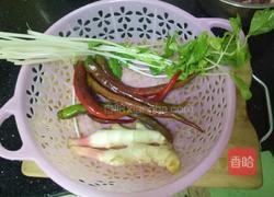 仔姜牛肉丝的做法图解3