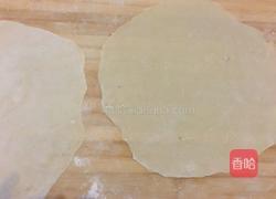 墨西哥芝士鸡肉卷的做法图解5