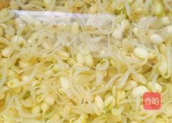 凉调黄豆芽的做法图解1