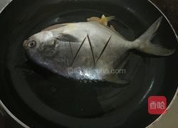 红烧鲳鱼的做法图解3
