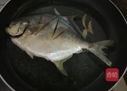 红烧鲳鱼的做法图解5