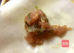 鲜肉馄饨的做法图解4