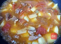 西红柿土豆炖牛腩的做法图解10