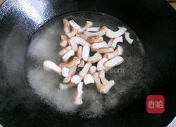 香菇油菜的做法图解5
