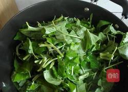 蒜香空心菜的做法图解4