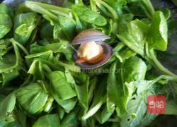 花蛤菌菇汤的做法图解2