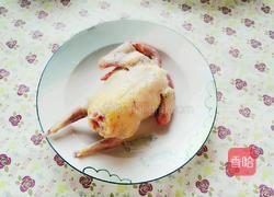 鸽子汤的做法图解1
