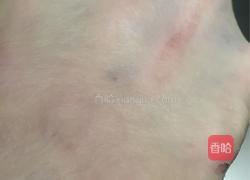 肉松面包的做法图解6