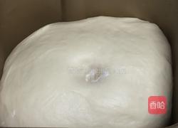 肉松面包的做法图解7