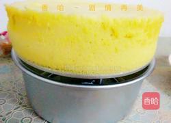 蒸酸奶蛋糕的做法图解9