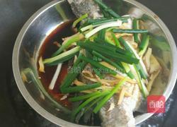 蒸尖嘴鱼的做法图解4