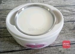 自制酸奶的做法图解5