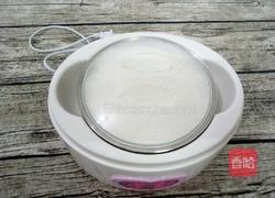 自制酸奶的做法图解9