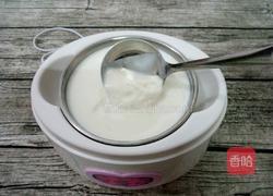 自制酸奶的做法图解10