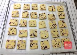 蔓越梅饼干的做法图解11