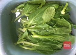 蒜蓉小白菜的做法图解1