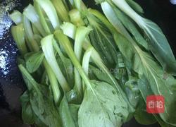 蒜蓉小白菜的做法图解5