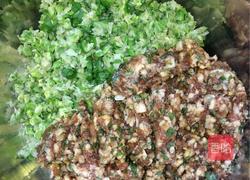 花边水饺(槐花猪肉馅)的做法图解3