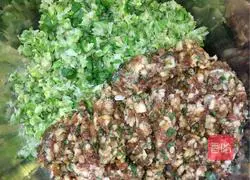 Illustration of the double-fold dumpling wrapping method 2