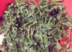 马齿苋煎饼的做法图解1