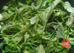 清炒南瓜苗的做法图解7