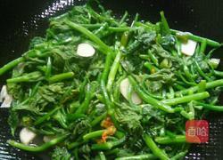 清炒南瓜苗的做法图解8