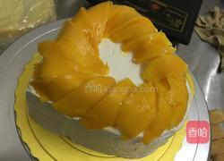 手指饼干蛋糕的做法图解6