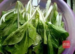 双椒炒小白菜的做法图解1