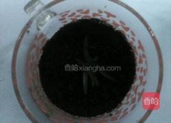酸奶盆栽的做法图解5