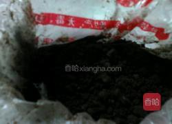 酸奶盆栽的做法图解3