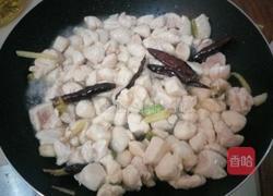 东北宫保鸡丁的做法图解6