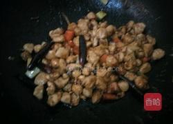 东北宫保鸡丁的做法图解9