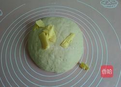 全麦中种土司的做法图解3