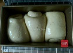 全麦中种土司的做法图解7