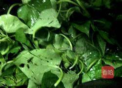 蒜蓉地瓜叶的做法图解2