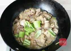 自制黄焖鸡的做法图解9