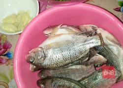 野生福寿鱼焖榨菜的做法图解1