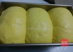 南瓜土司的做法图解11