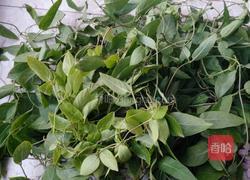 鸡屎藤汤圆子的做法图解1