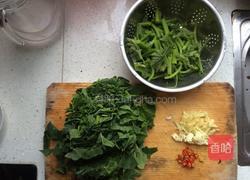清炒南瓜叶的做法图解1