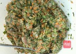 猪肉时蔬饺的做法图解4